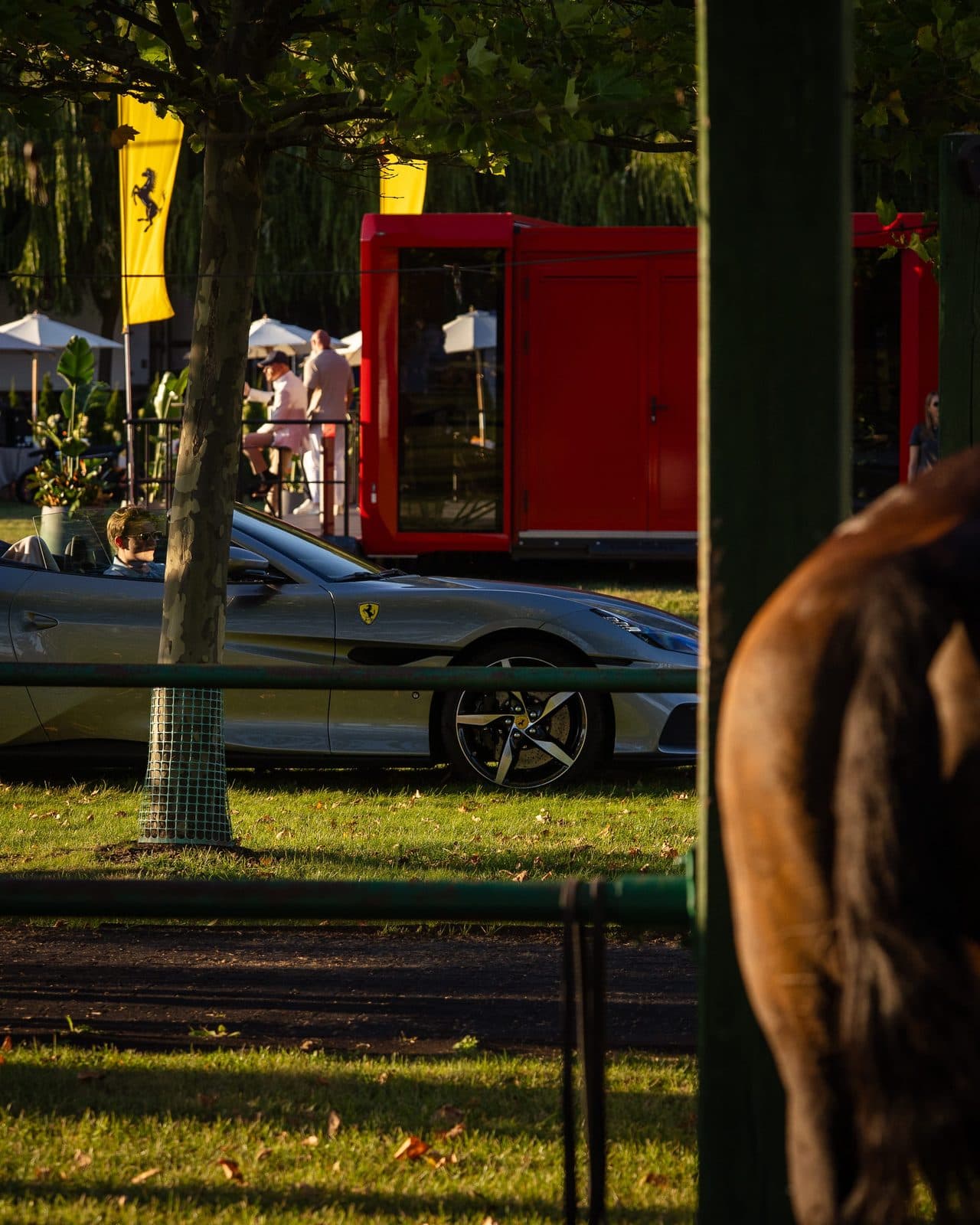 Sowiniec Polo Club